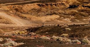 《古墓丽影：终极版》现已登陆了Switch 2和Switch